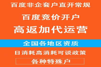 某企业通过SEM运营实现业绩翻倍的秘诀